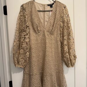 French Connection Beige Lace Long-Sleeve V-Neck sequin Dress